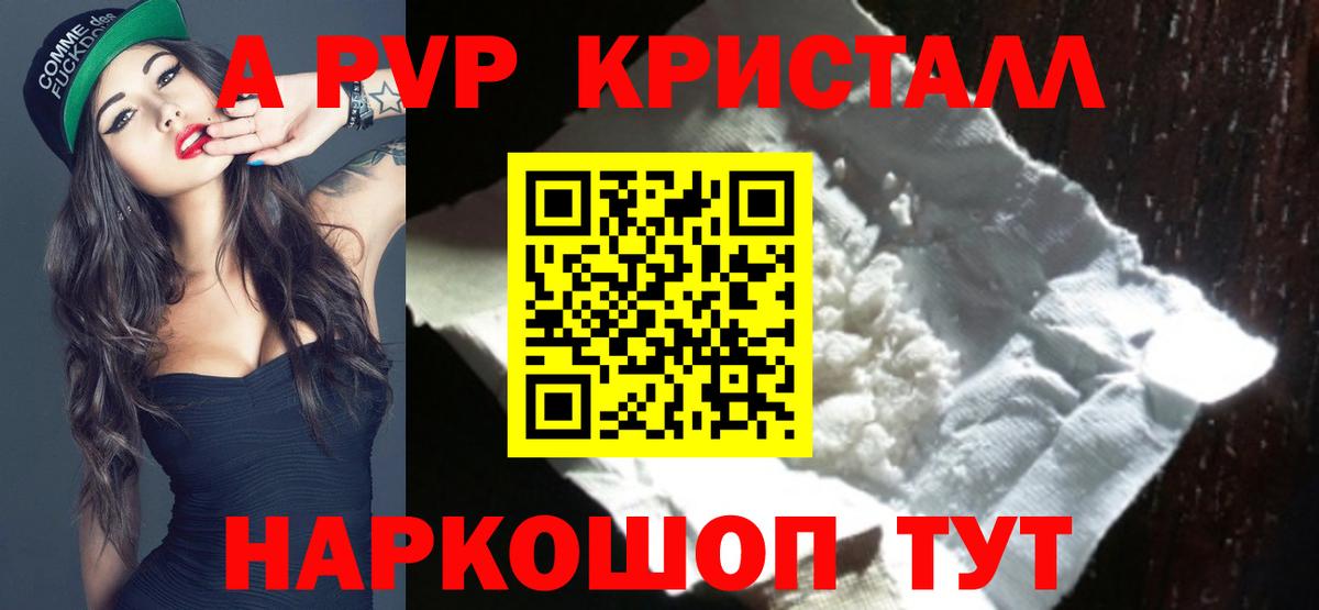 Альфа ПВП СК Назрань