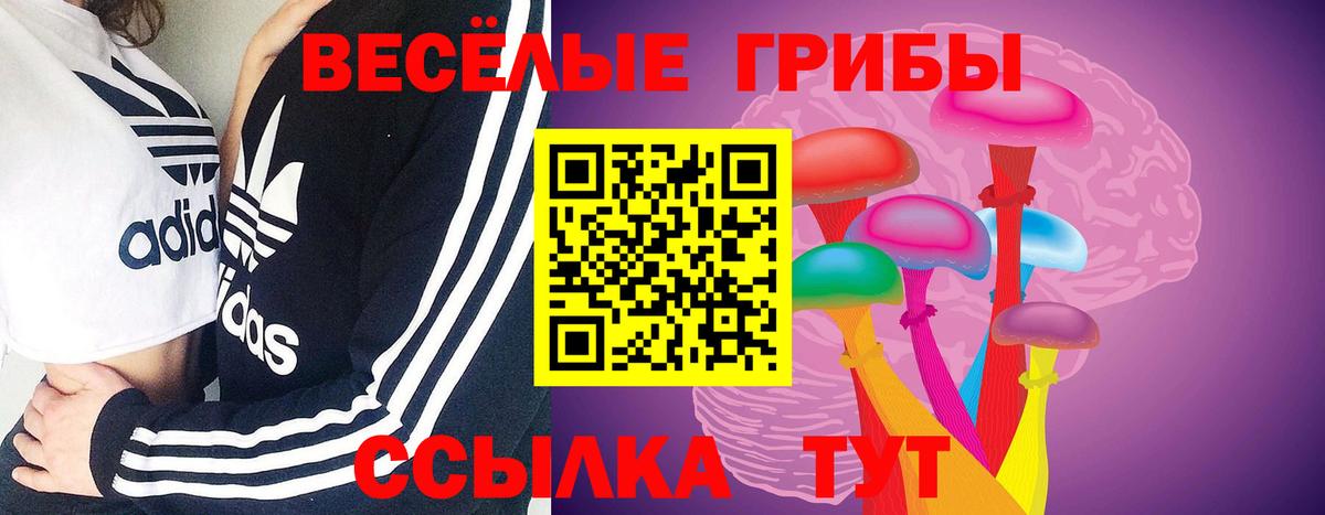 Псилоцибиновые грибы ЛСД  Вход с VPN  Псилоцибиновые грибы GOLDEN TEACHER  Назрань 